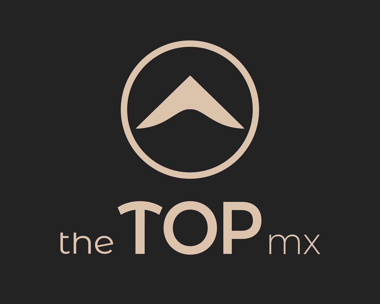 Logo The Top